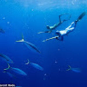 Meet your Posher, Nik